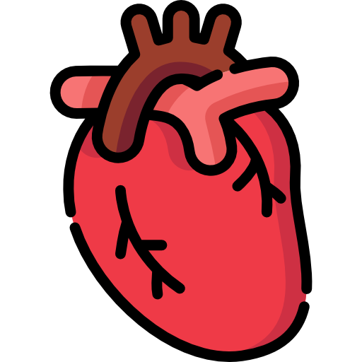 Heart